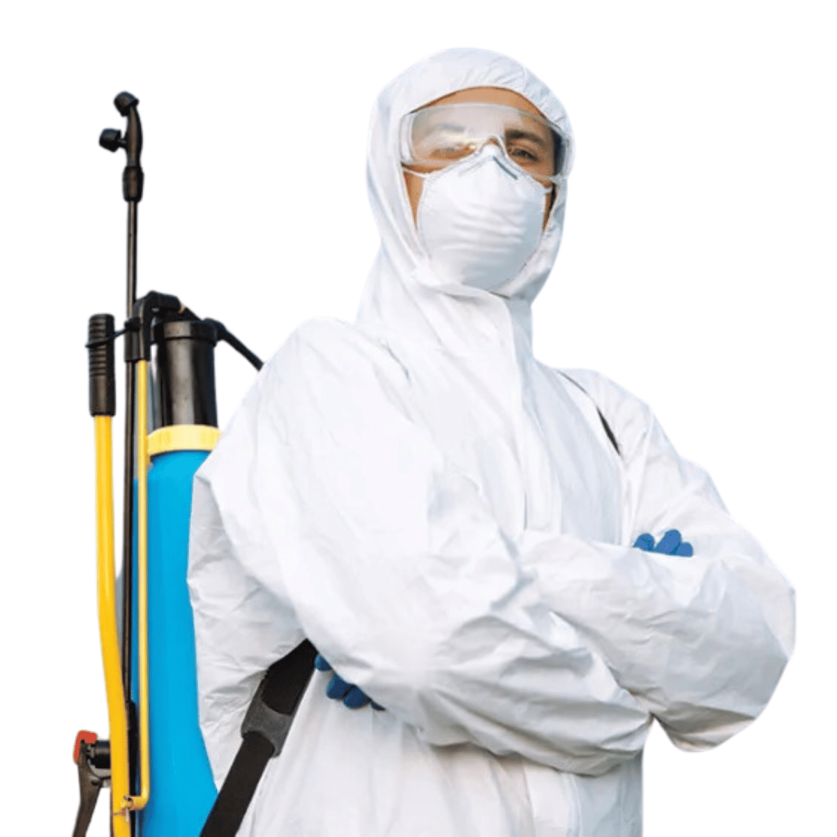 Pest Control Services In Odisha